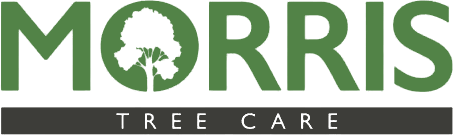 Morris Brown Tree Arborist Logo